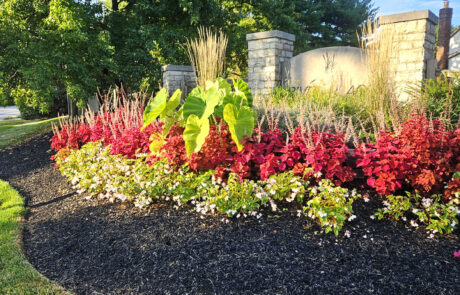 Professional lawn mowing services and turf health management.