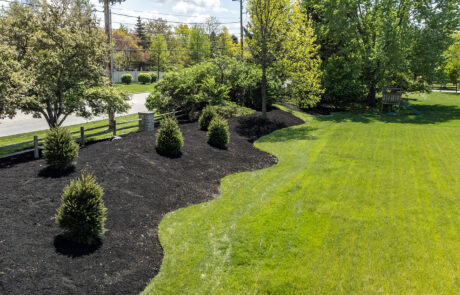 Freshly mowed lawn with clean, sharp edges along a sidewalk showing professional turf maintenance in Central Ohio.